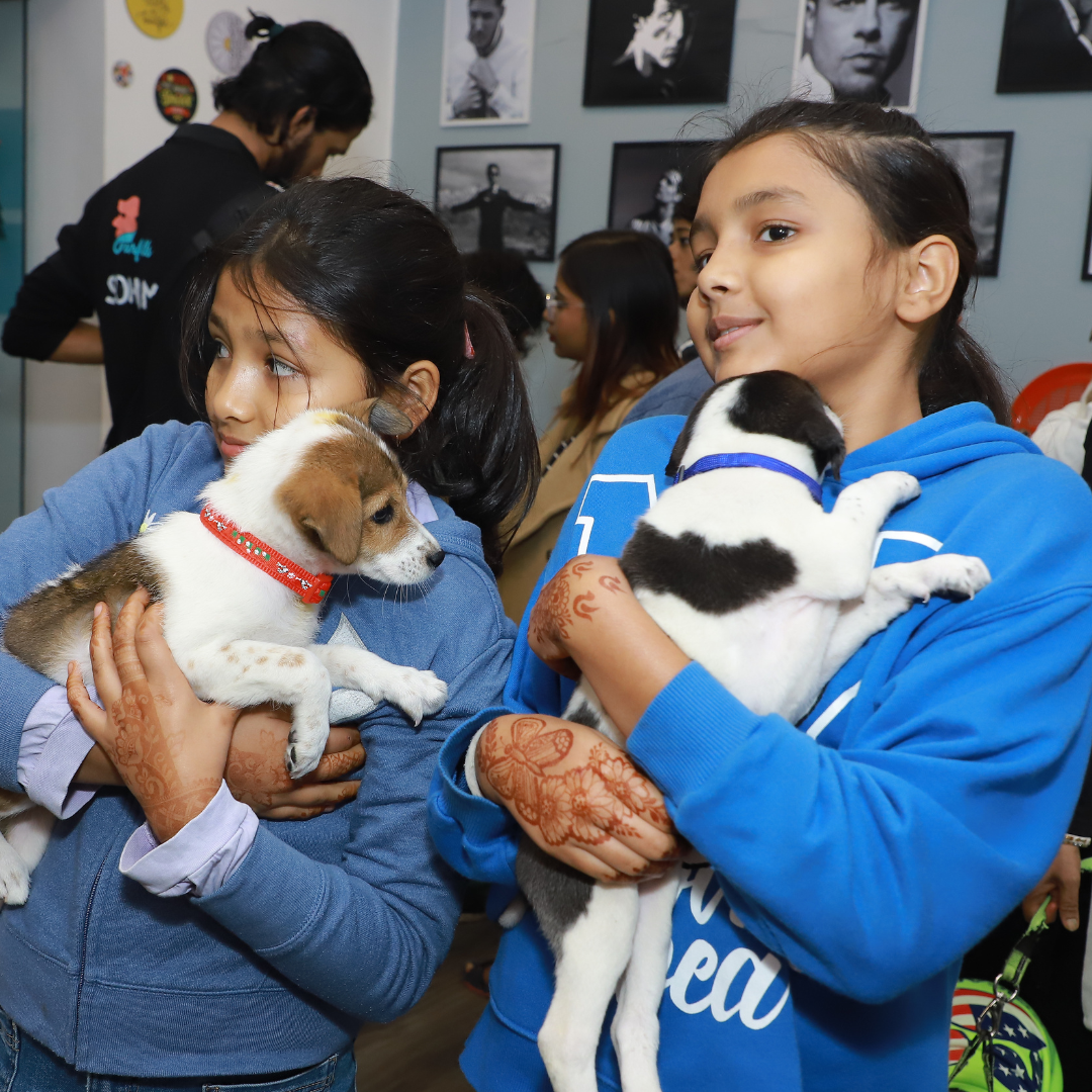Prabha Khaitan Foundation - Nature & Wildlife - Animal Welfare